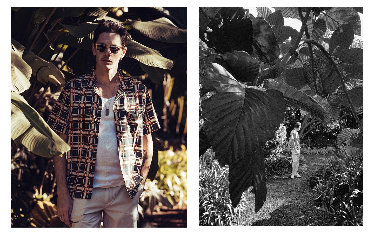 DEUS EX MACHINA  Elmers Country Club