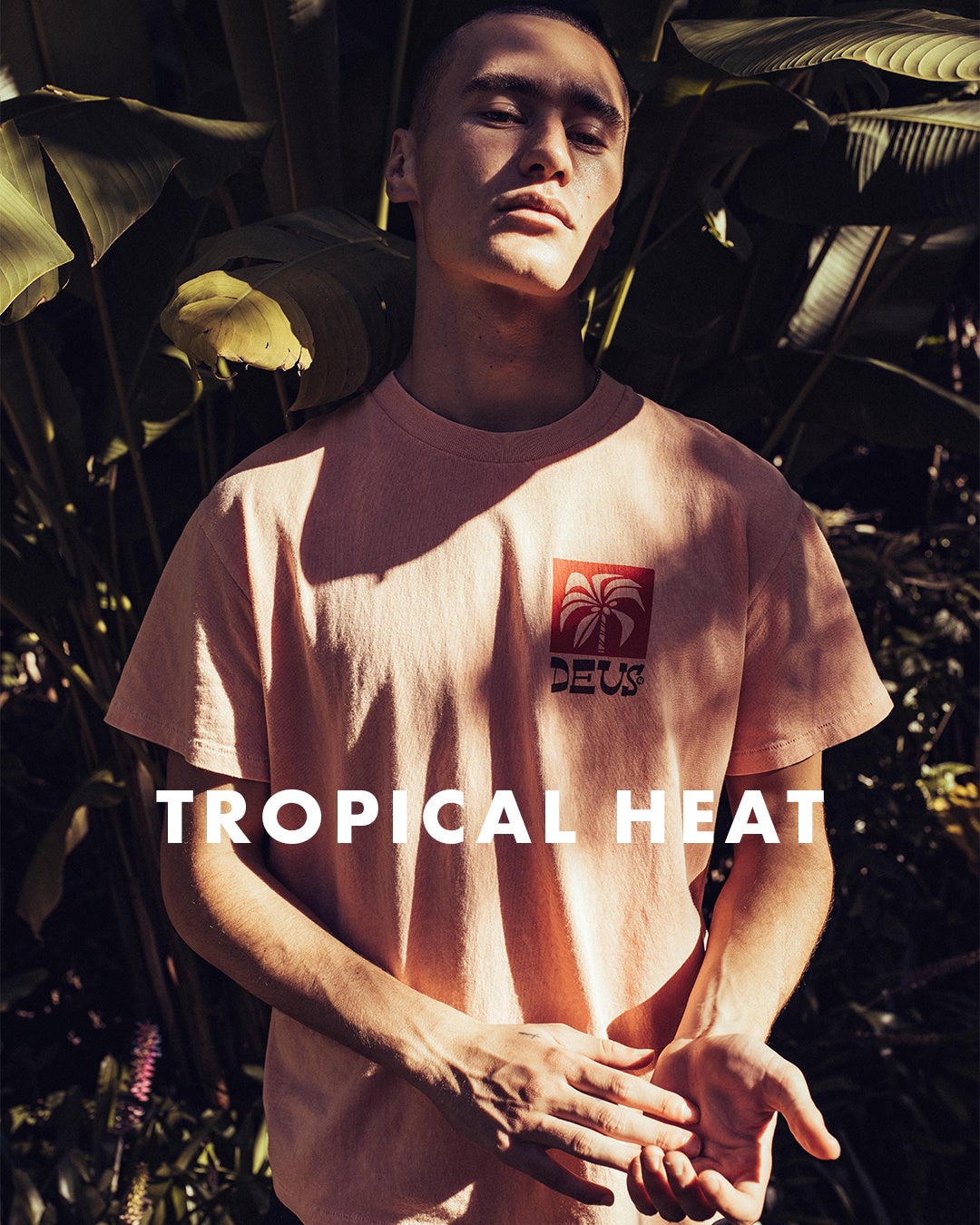 DEUS EX MACHINA  Elmers Country Club