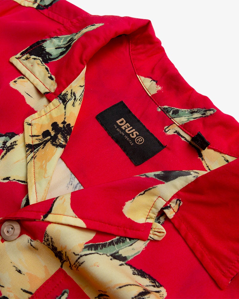 DEUS SUMMER 22 SUNSPOTS COMING SOON! 