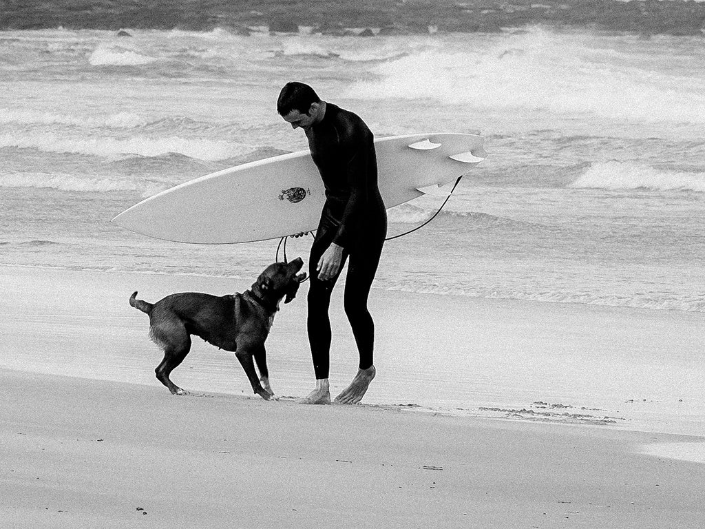 DEUS 22 FALL COLD CURRENTS 