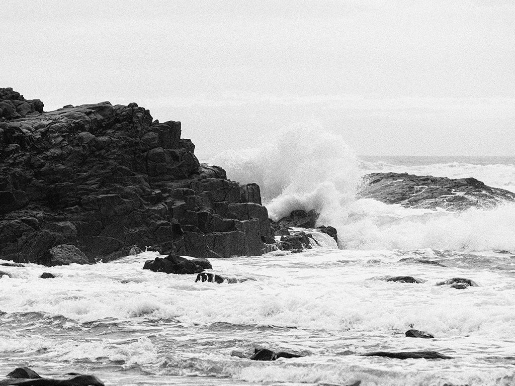 DEUS 22 FW WATERFRONT SURPLUS