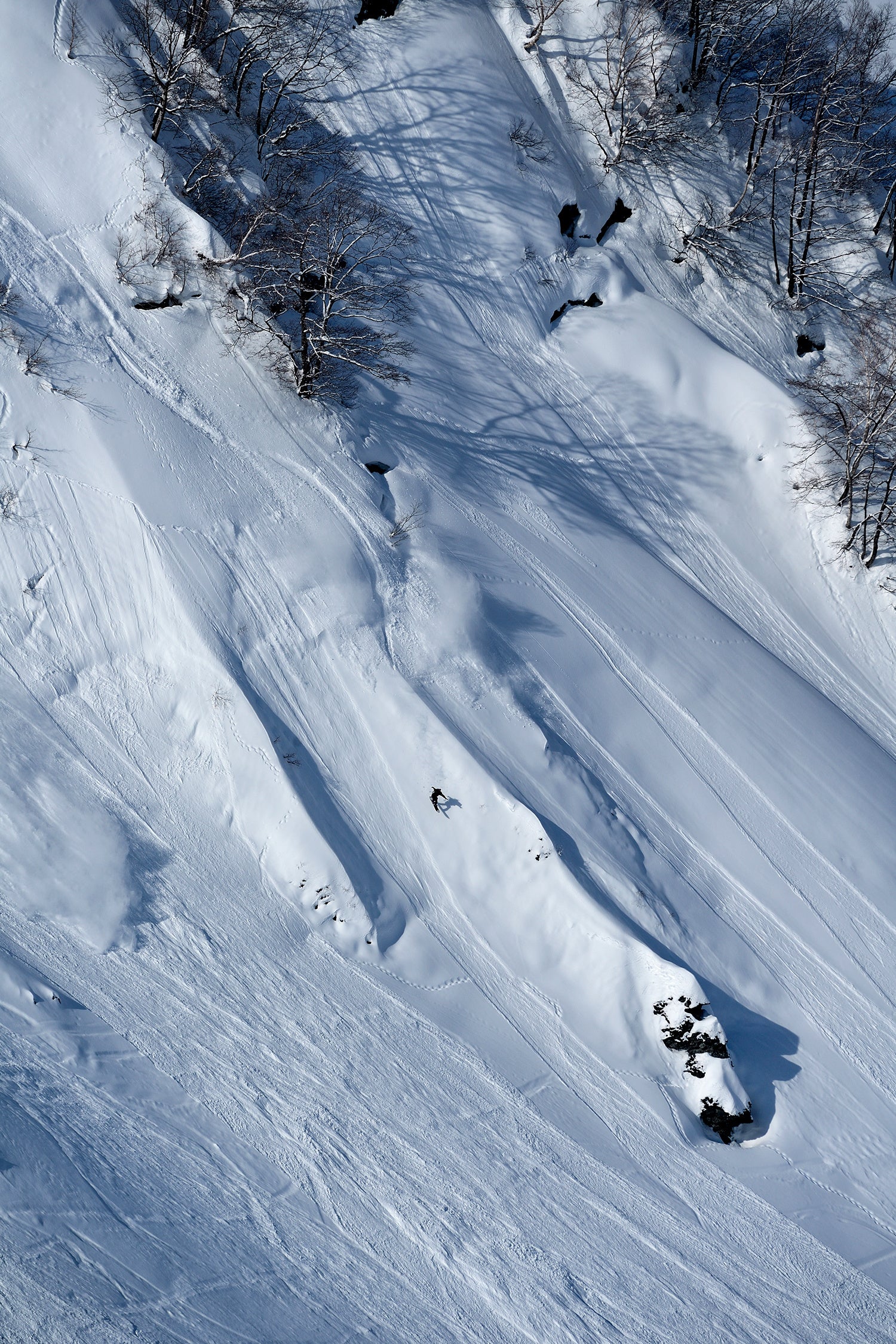 DEUS POWDERTOOLS  デウスパウダーツールズ