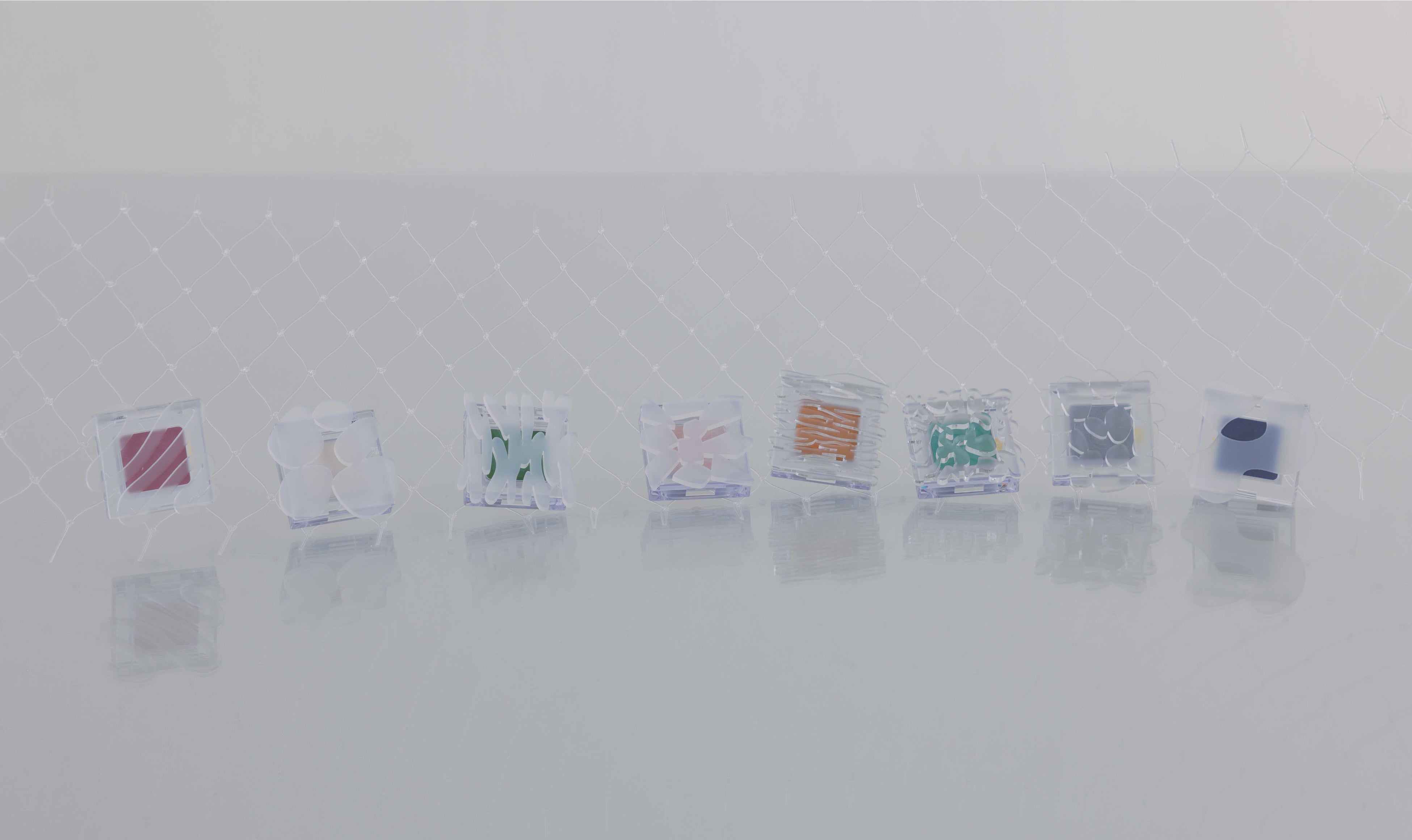 Photographer：Shuhei Tsunekawa