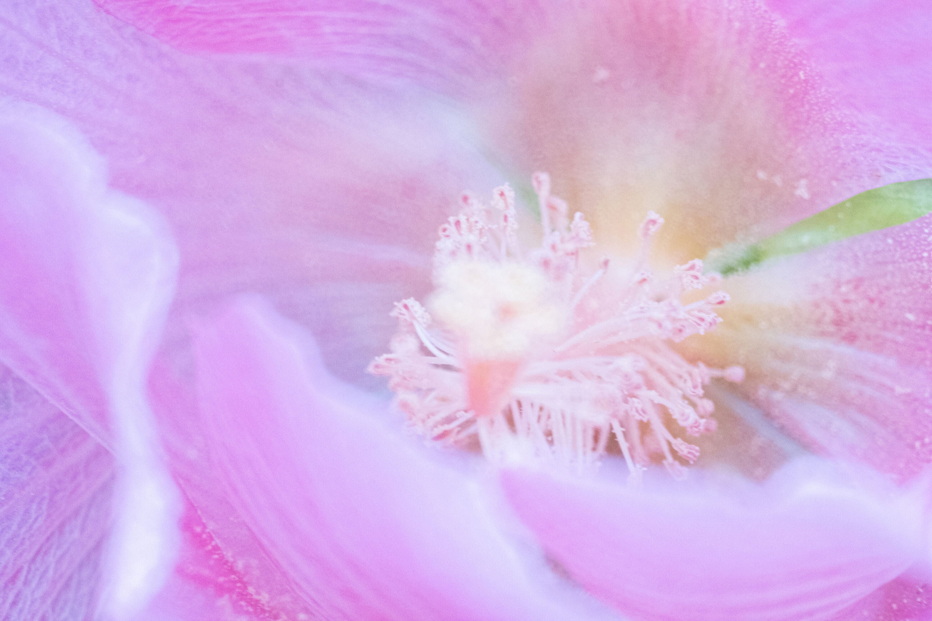 コンパクトなAPS-C専用超望遠レンズ「Tokina SZ 300mm PRO / SZ