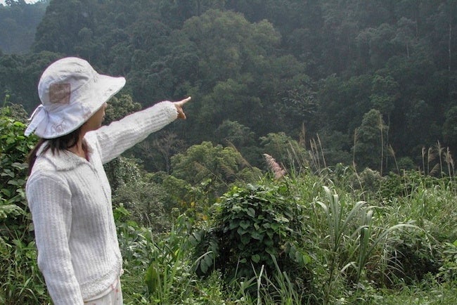 『風景シリーズ #1』