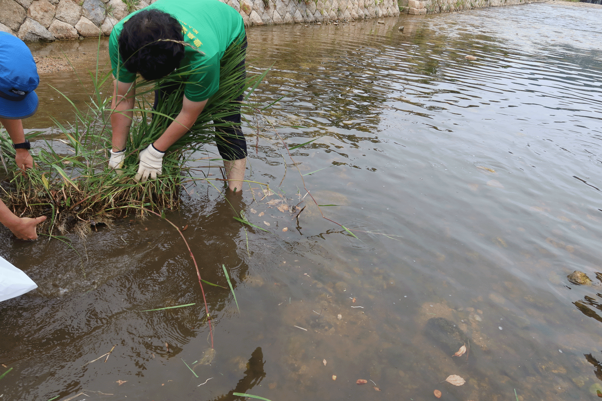 ボランティアの様子