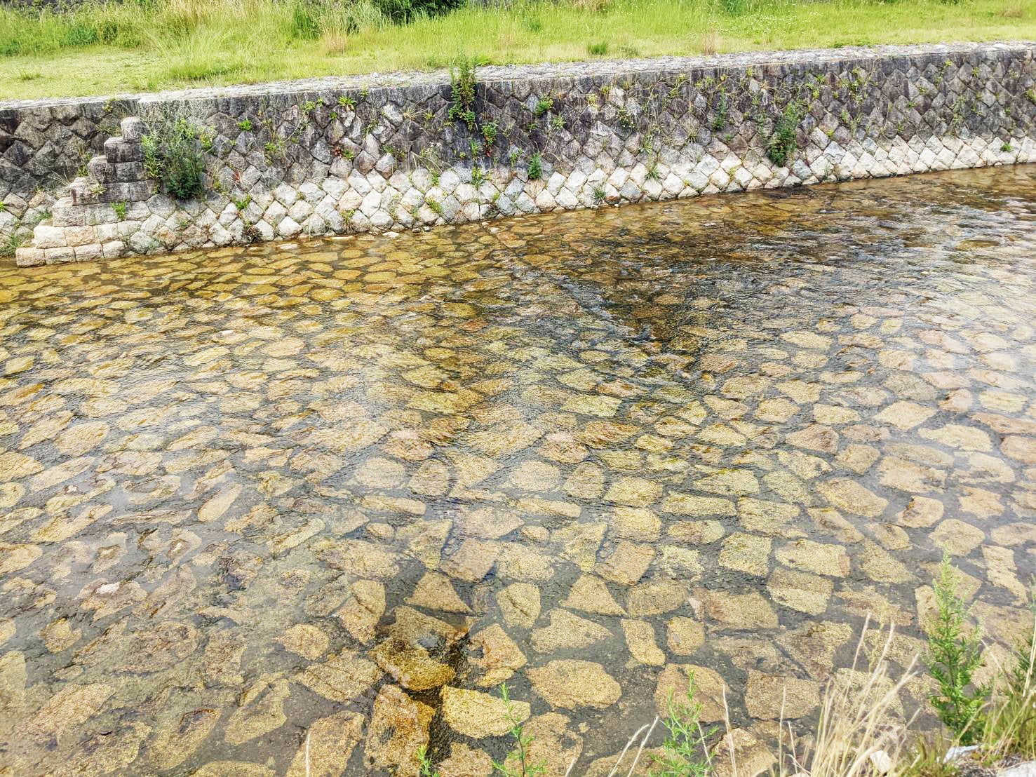 お掃除後の芦屋川