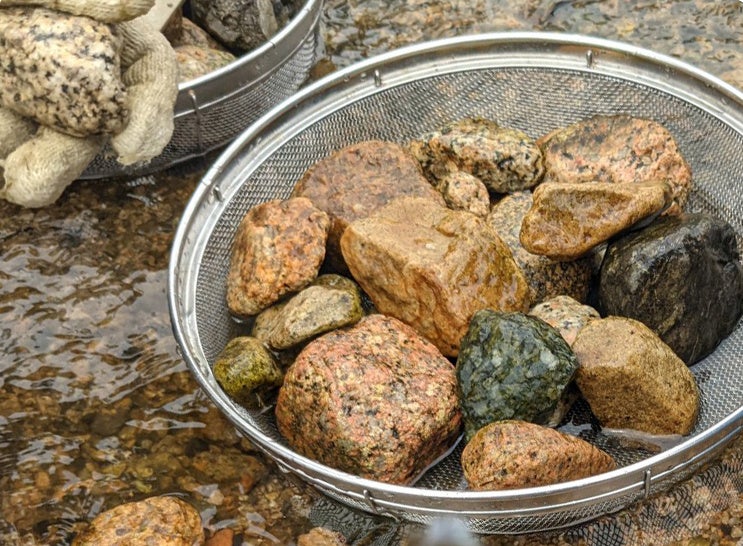 石ころアート用に集めました