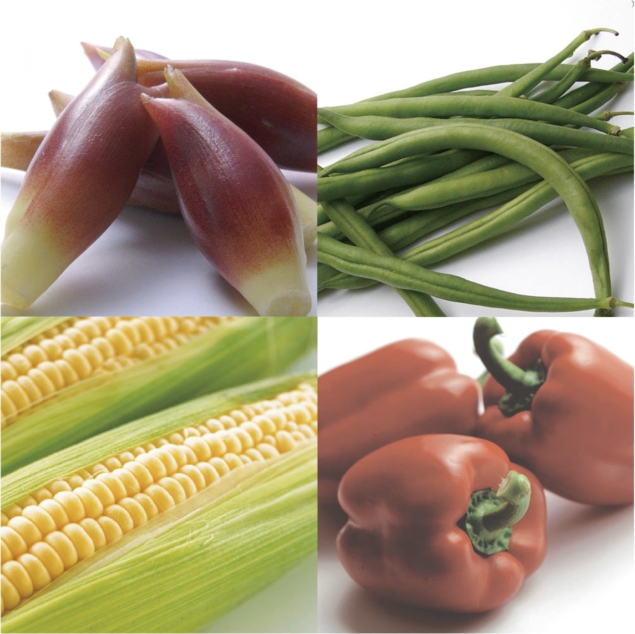 夏の野菜盛り合わせ（イメージ）