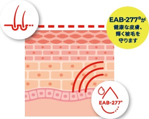 新発売「アンチノール® プラス スキン サポート 」ワンちゃんの皮膚 新発売「アンチノール® プラス スキン サポート 」ワンちゃんの皮膚