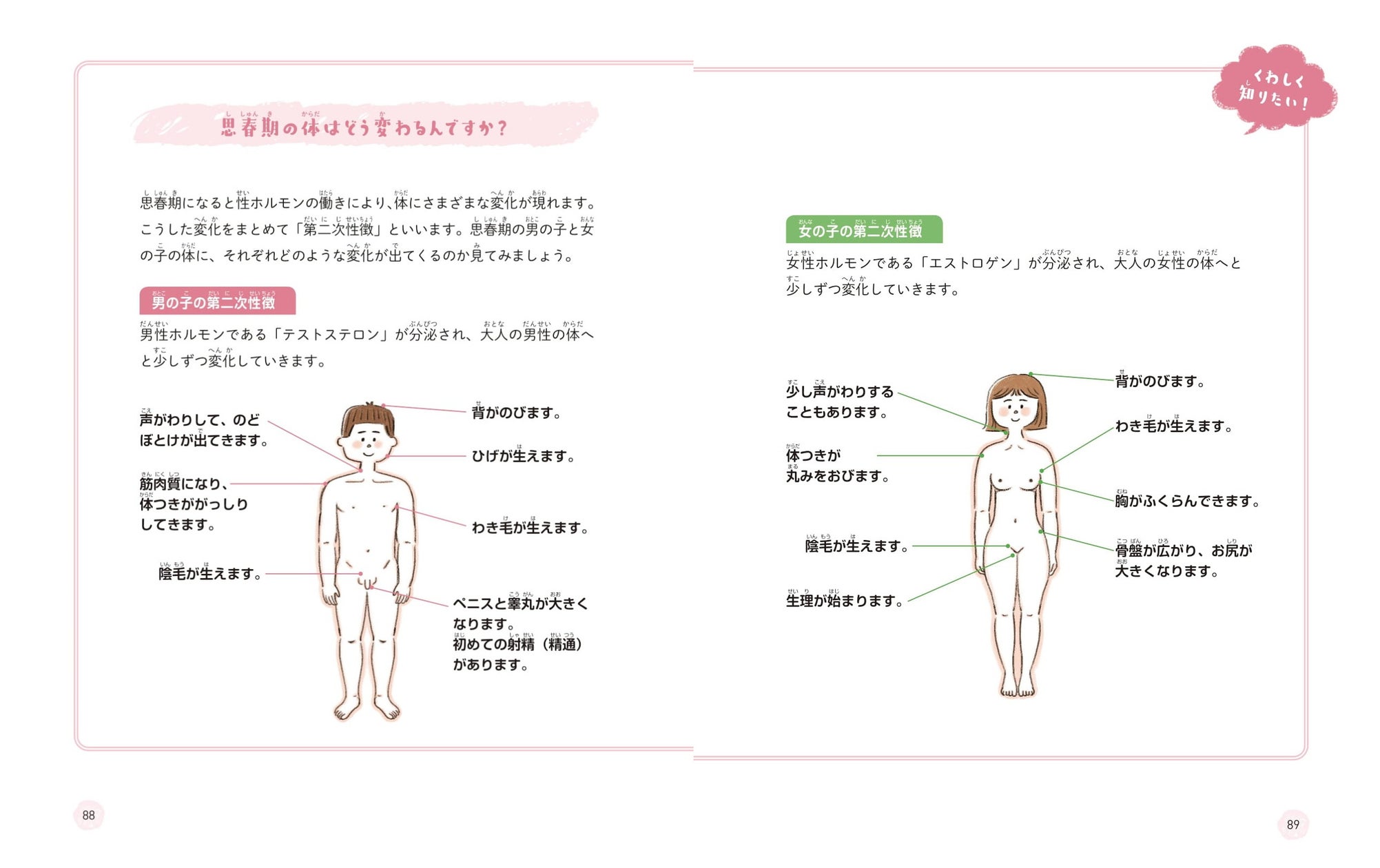 男子小学生 勃起