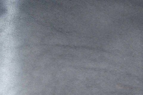 表面に血管の模様や傷が見られる