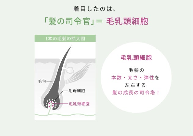 Hair Theory Lab®(出典: PR TIMES)