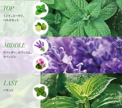 Hair Theory Lab®(出典: PR TIMES)