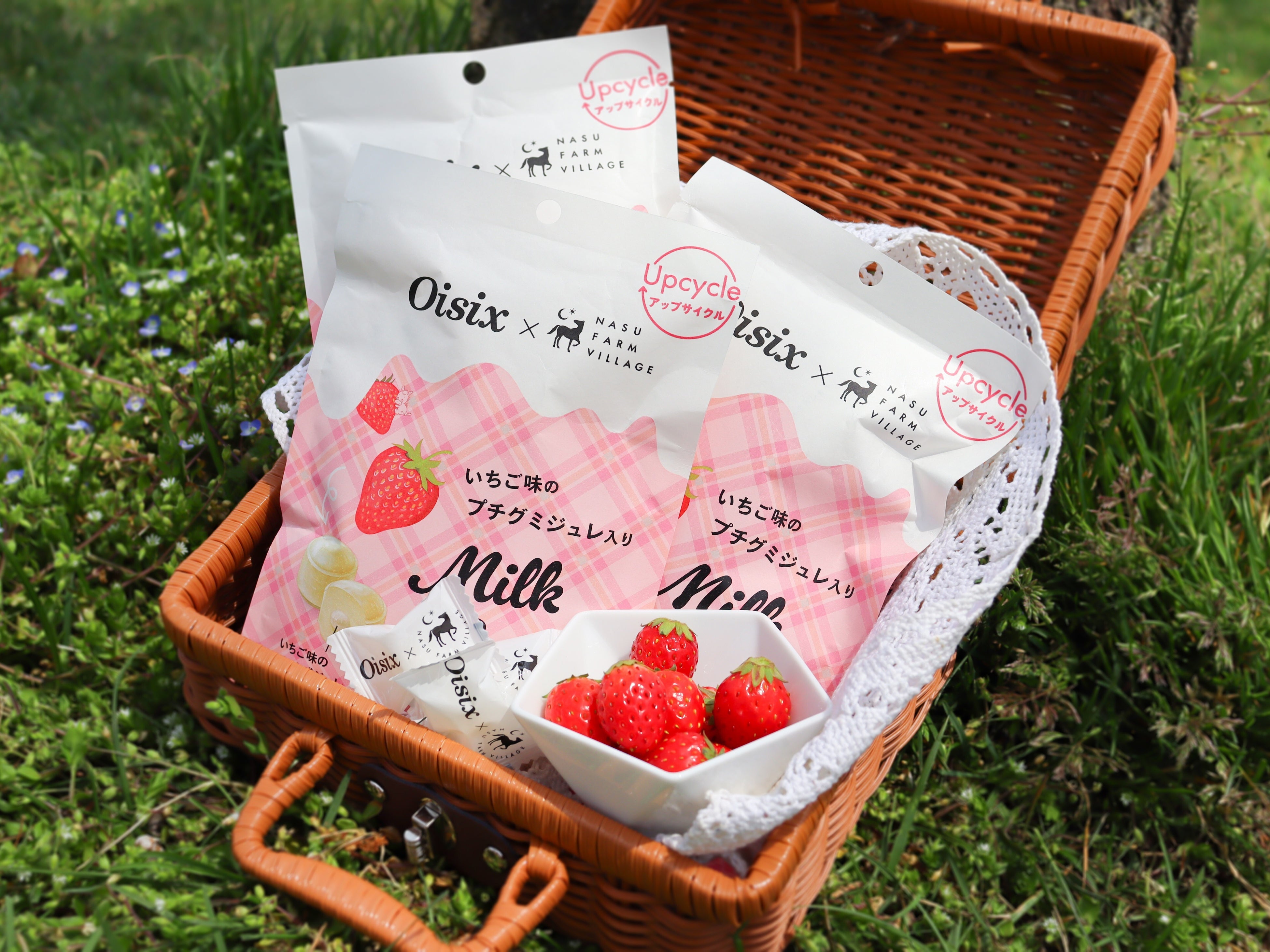 【新品】ピクニックラグ　 NASU Farm Village SABLE PICNIC SHEET | NASU FARM VILLAGE ONLINE S