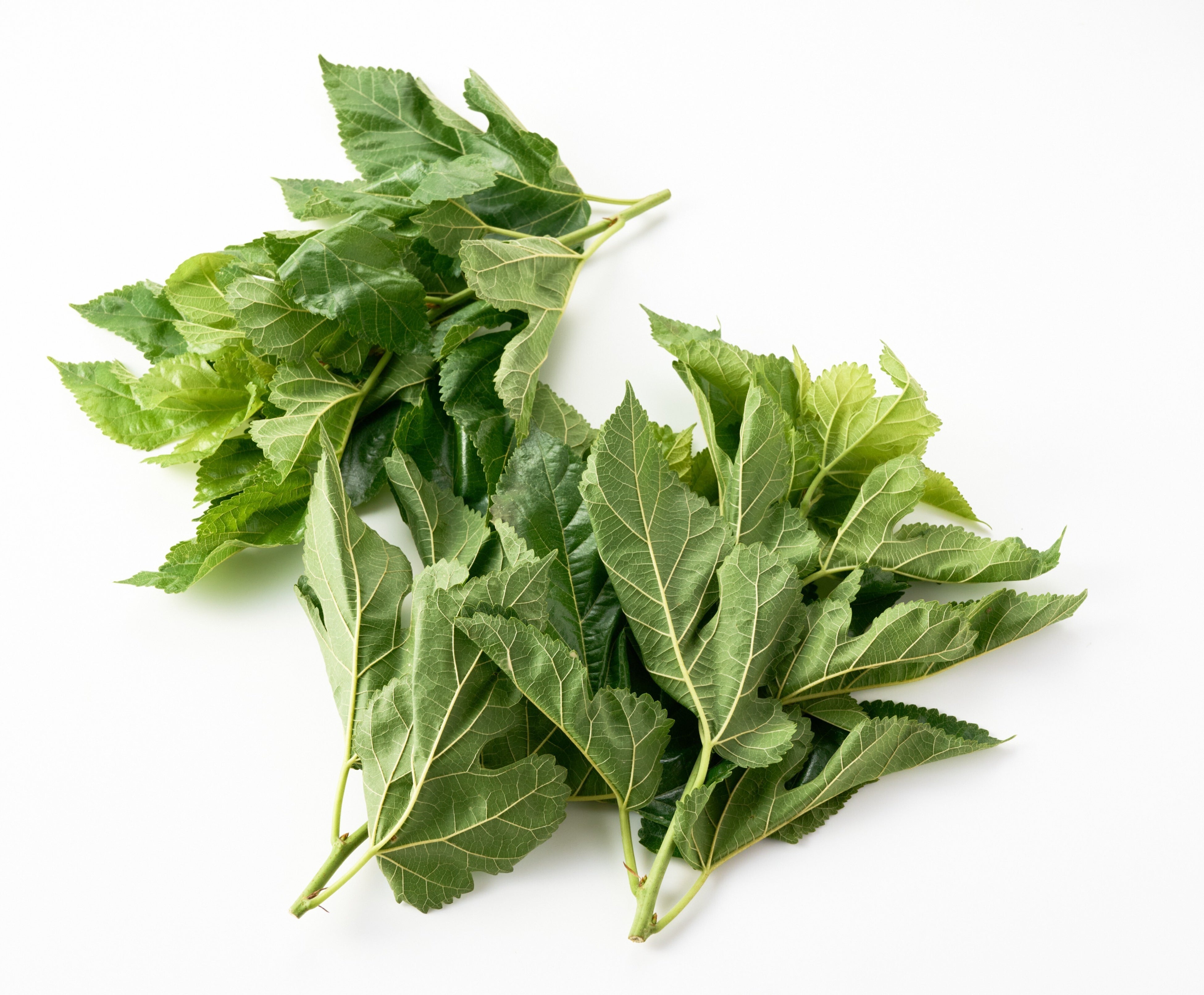 8月31日は野菜の日】キーワードは物価高、猛暑、腸内環境、ウェルネス