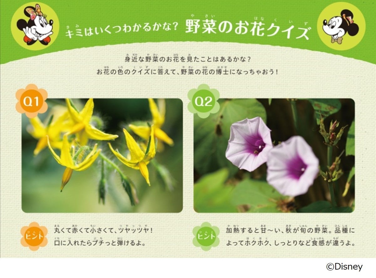 ＜ミッキー＆ミニー＞チキン香草焼き　野菜のお花クイズ
