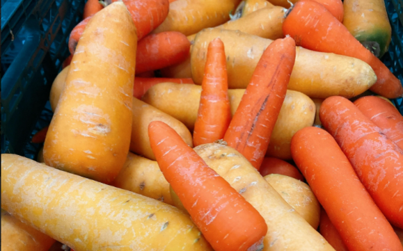 ▲原料となったふぞろいのにんじん