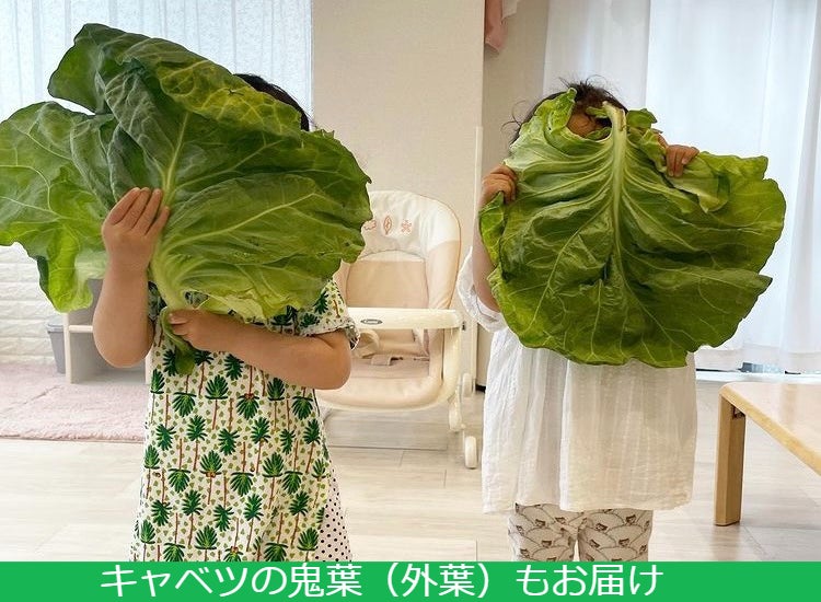 体験型の食育支援活動(イメージ)