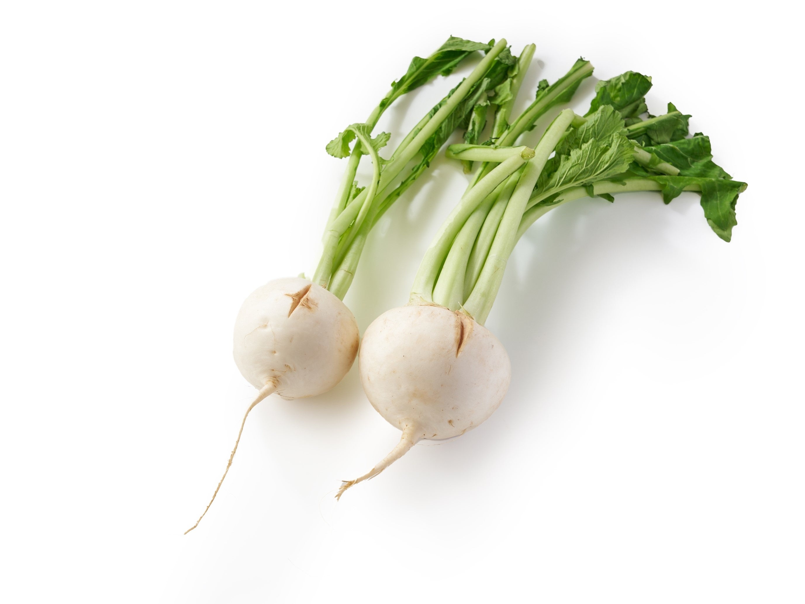 ▲勲章かぶ（北海道産）