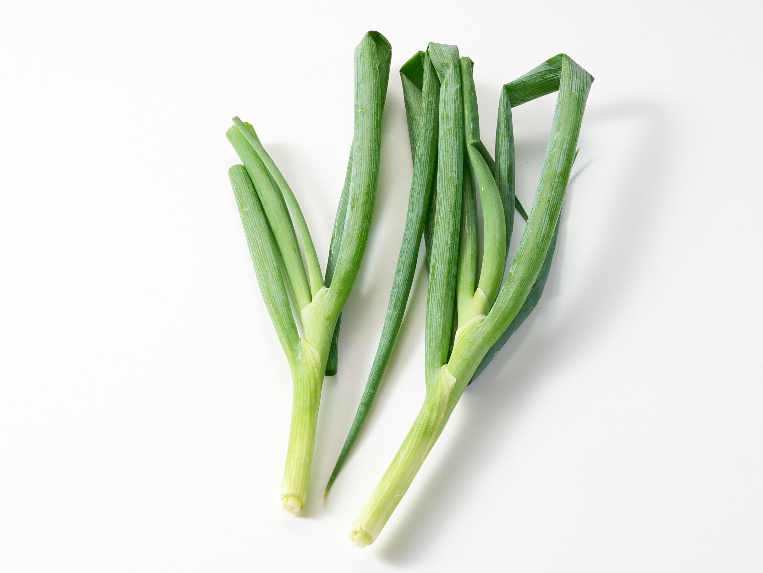▲爽やか青ねぎ（北海道産）