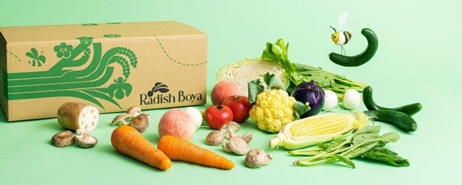 ▲「めぐる野菜箱」畑応援プラスコースお届けイメージ