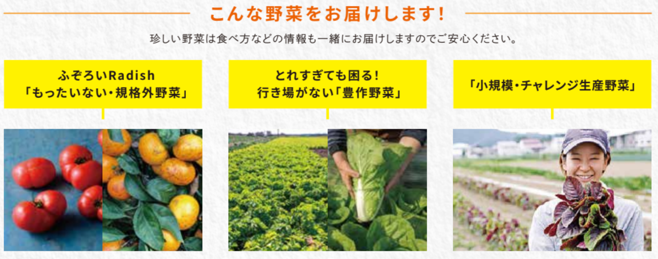 ▲「畑応援プラスコース」お届け内容