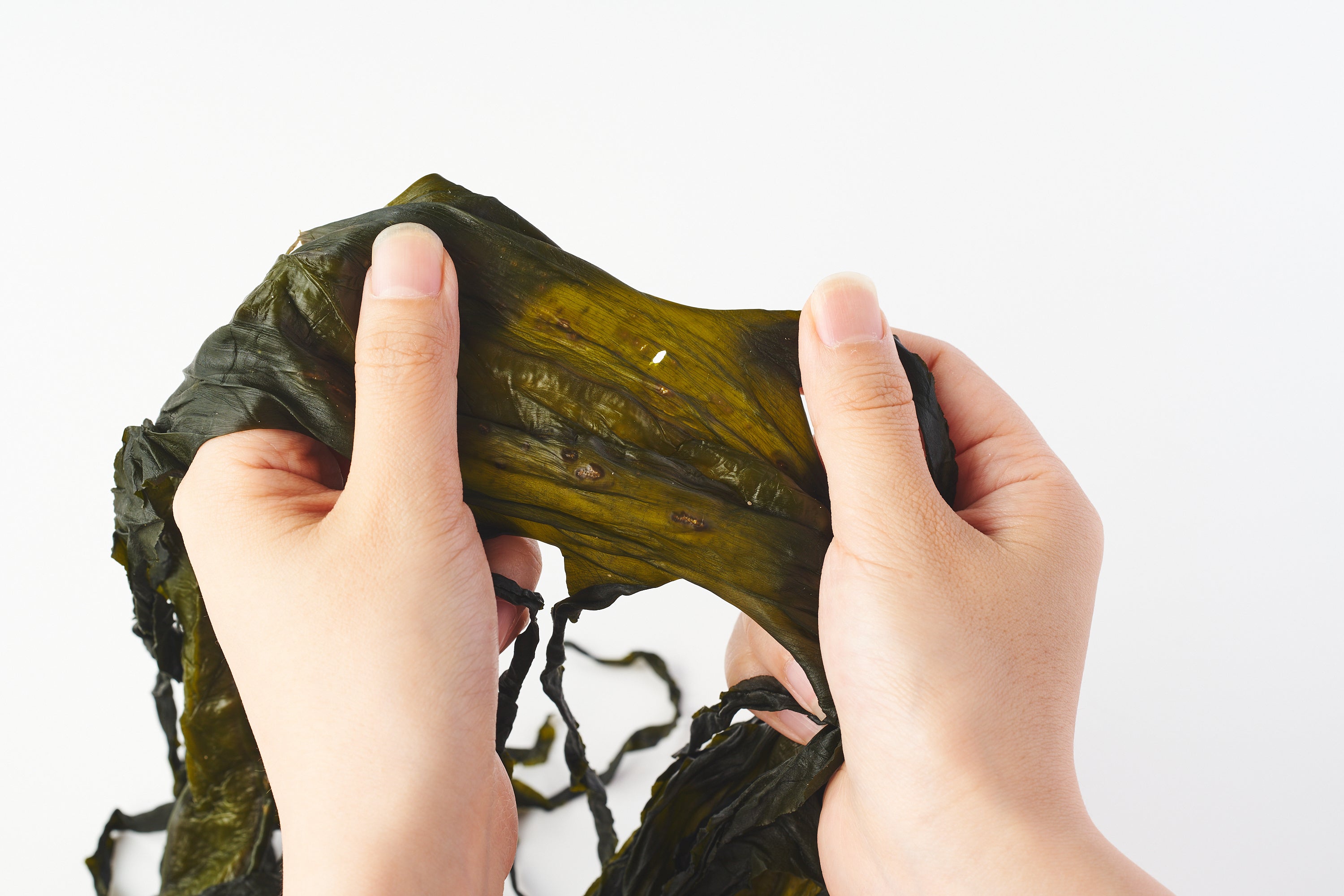 ▲小さな穴があいたり膨れが生じている