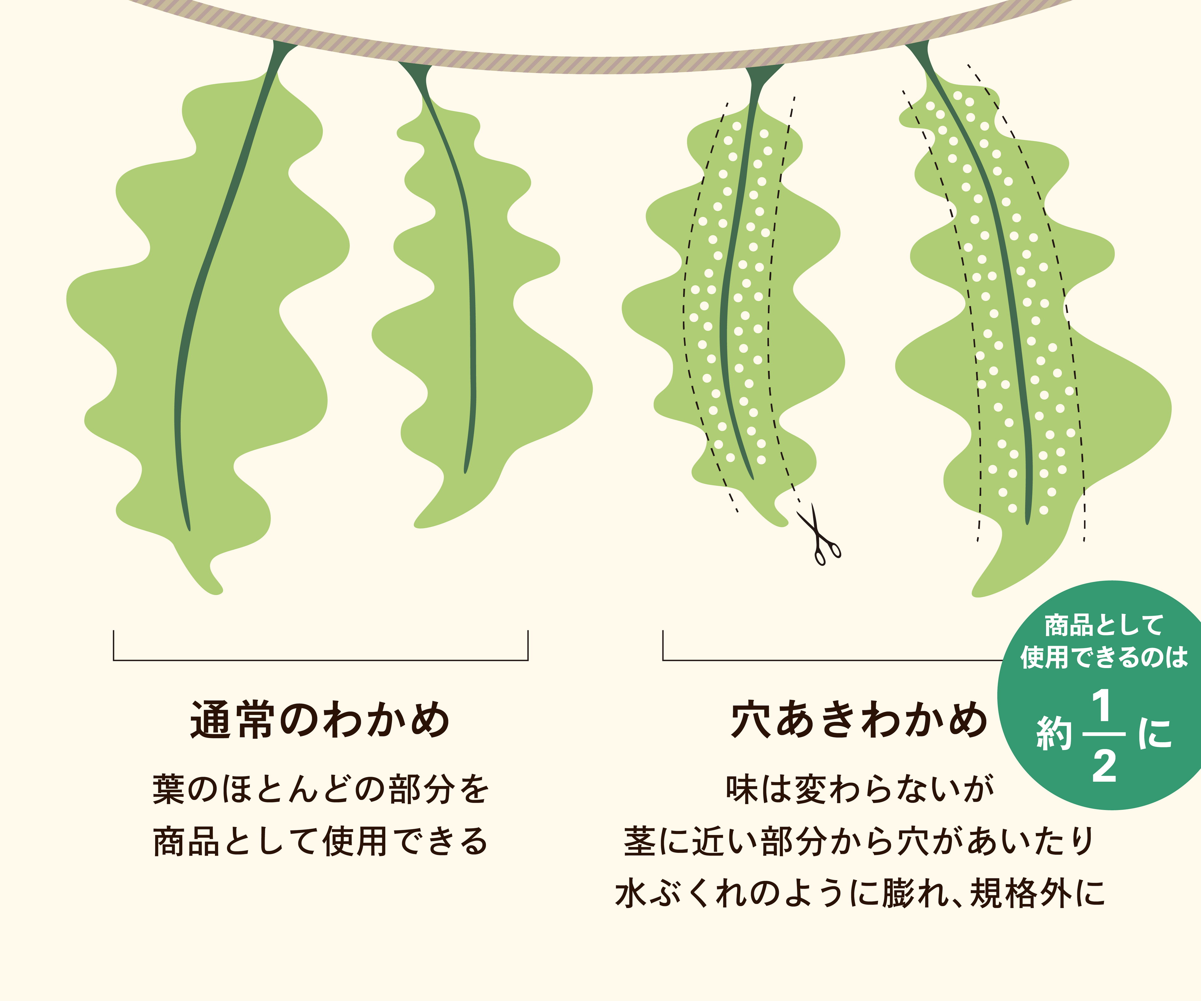 ▲茎に近い、穴の部分は全て廃棄されている