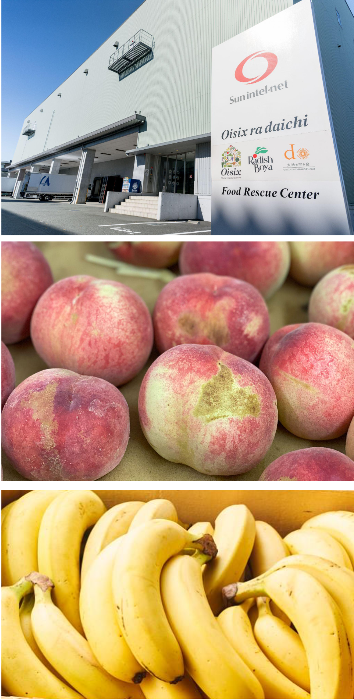 （上から）フードレスキューセンター外観、  強風で表面に傷がついた桃、検品でロスになっていたバナナ（イメージ）