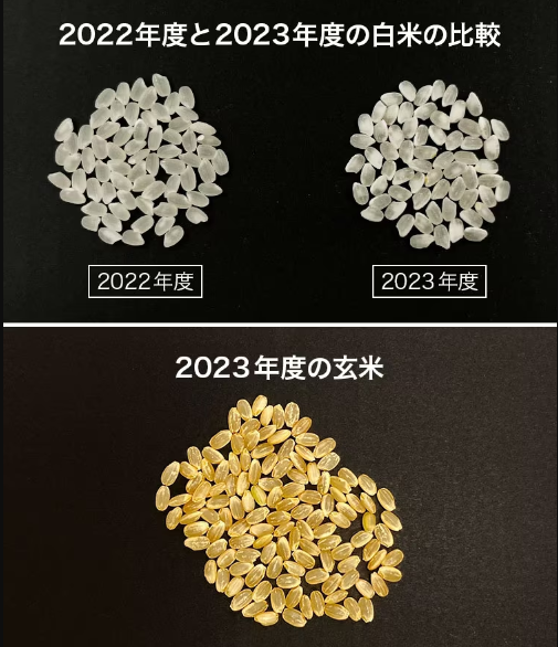 （色味の違いは、コメの産地により多少差があります）