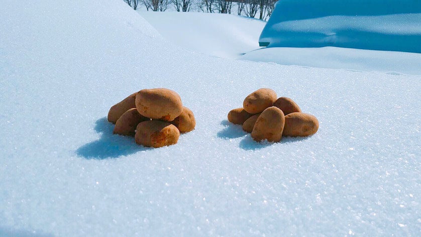 商品名：山田さんの雪室甘じゃがいも