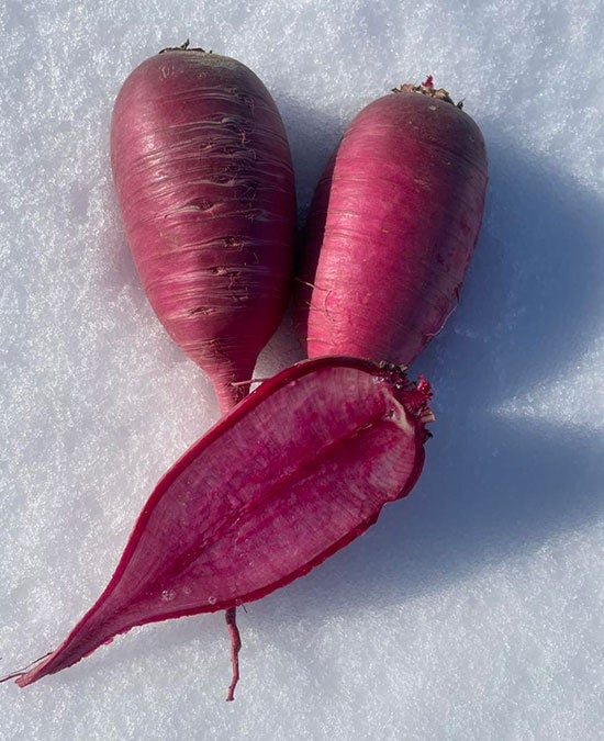 商品名：雪室紅くるり(あいこう農園）