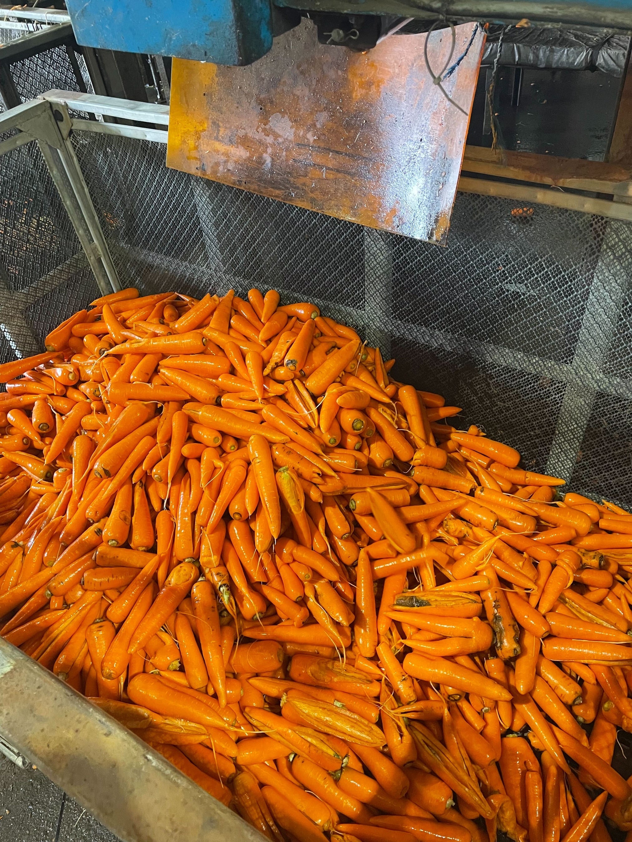 ▲ふぞろい野菜イメージ