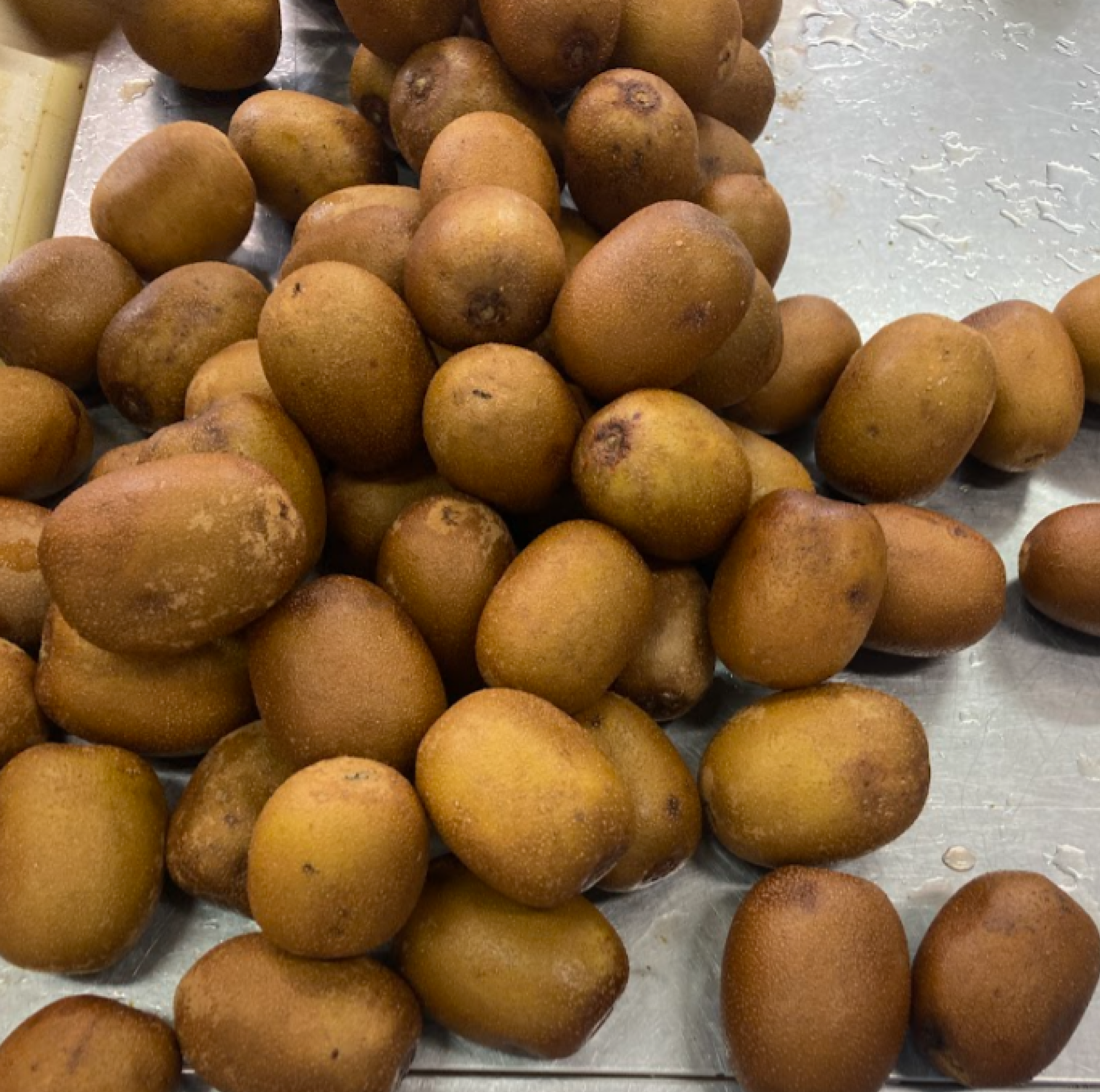 ▲規格外とされたキウイ