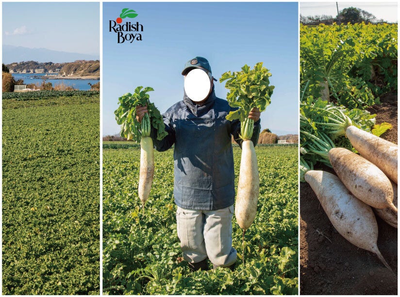 ▲農家さんになりきれる顔はめパネル （当日も同デザインのパネルを設置予定）