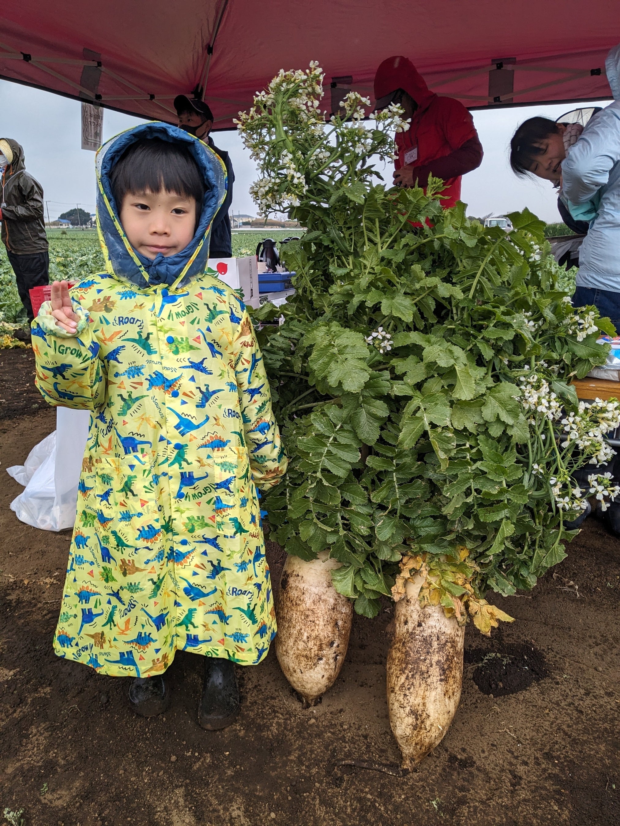 ▲「特大サイズ野菜の撮影ブース」イメージ （当日は特大大根の模型をご用意）