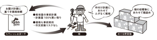 ▲「めぐる野菜箱」お届けまでの仕組み