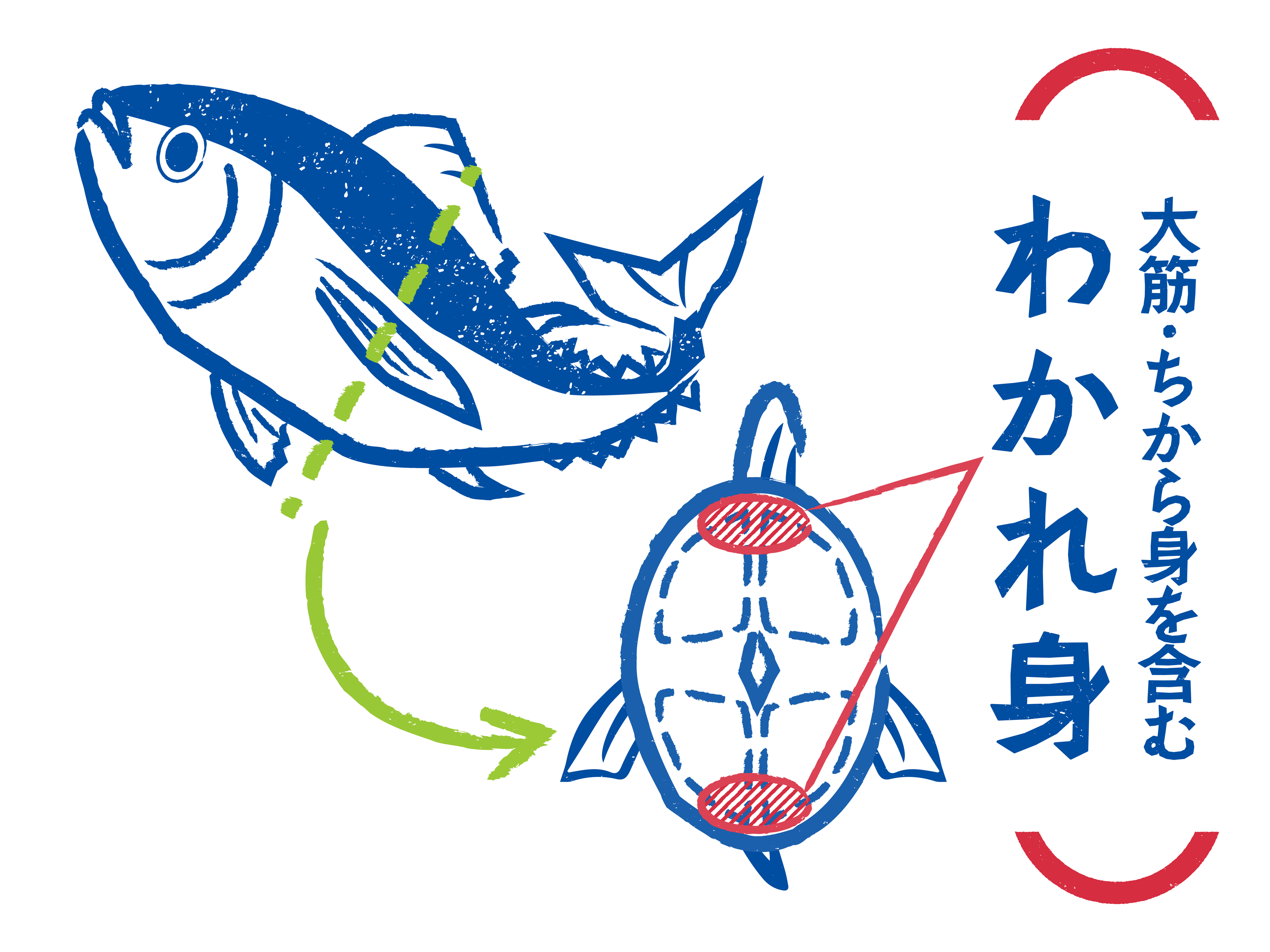 ▲まぐろの「わかれ身」の部分