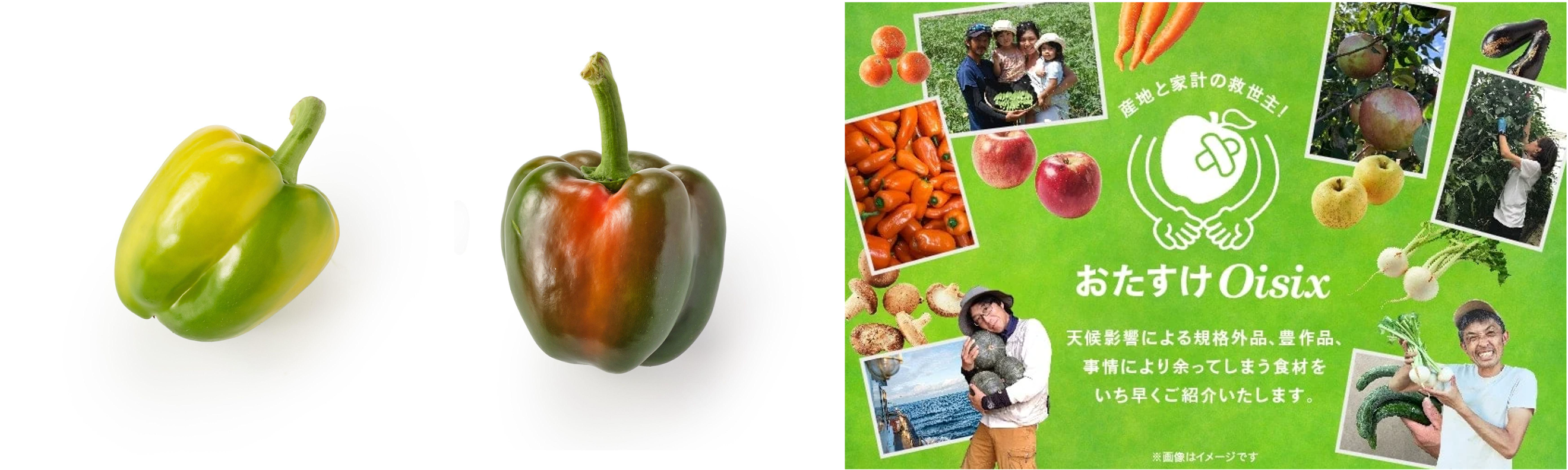 ▲カメレオンパプリカ