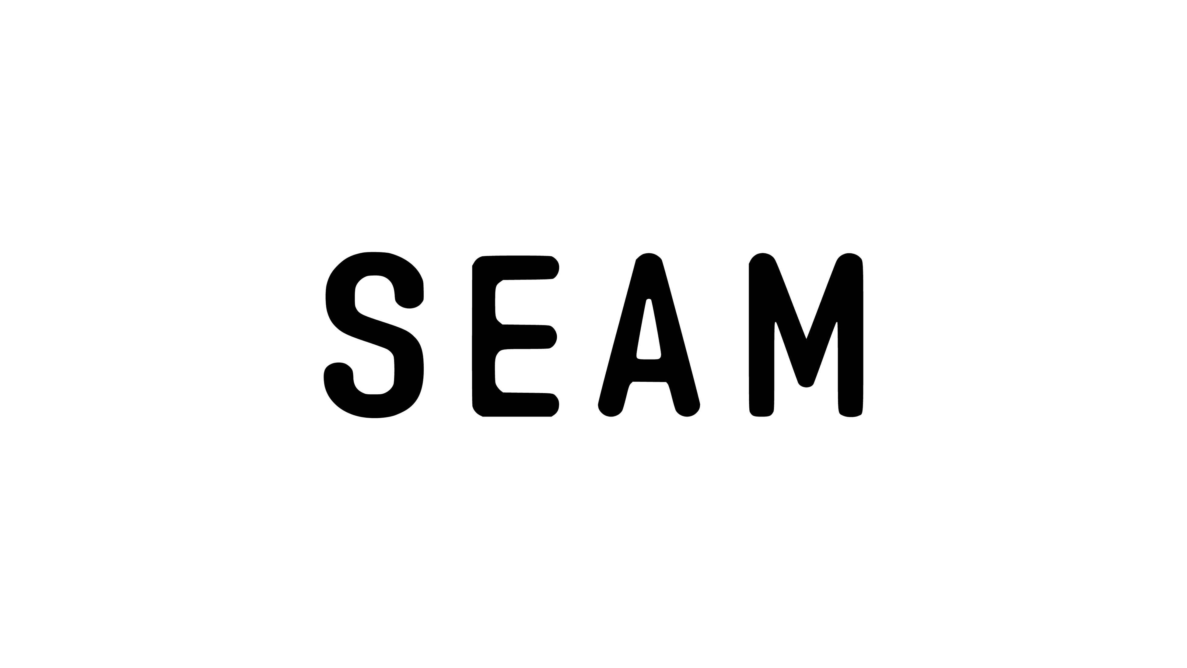 SEAM Logo
