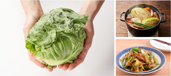 この冬国内初販売される新品種のキャベツ Oisixが推す2025年注目の「ス この冬国内初販売される新品種のキャベツ Oisixが推す2025年注目の「ス