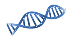 核酸医薬は疾患の原因となる遺伝子にも直接作用する