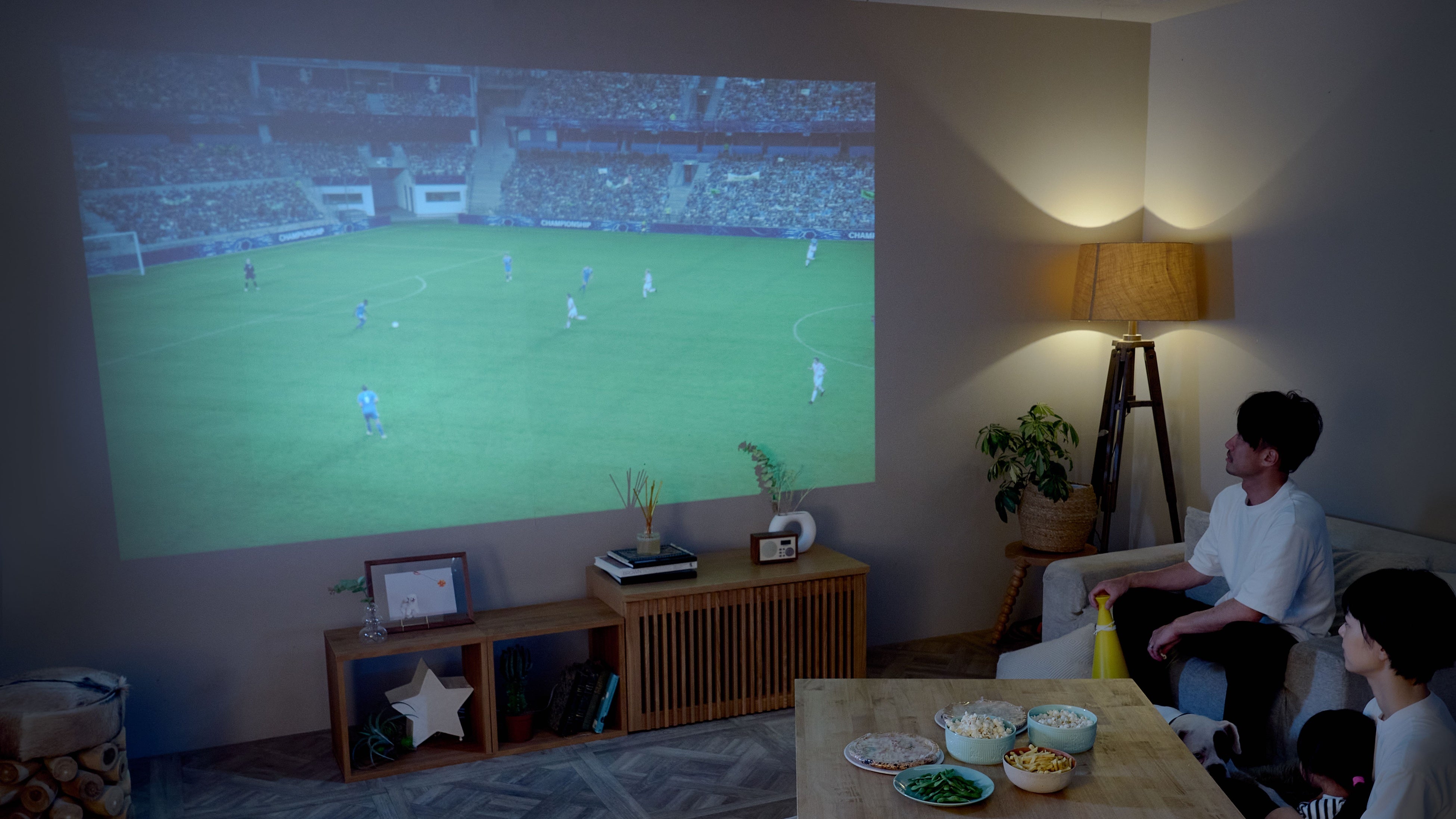 ワイドアングルレンズ非装着時投影時画像