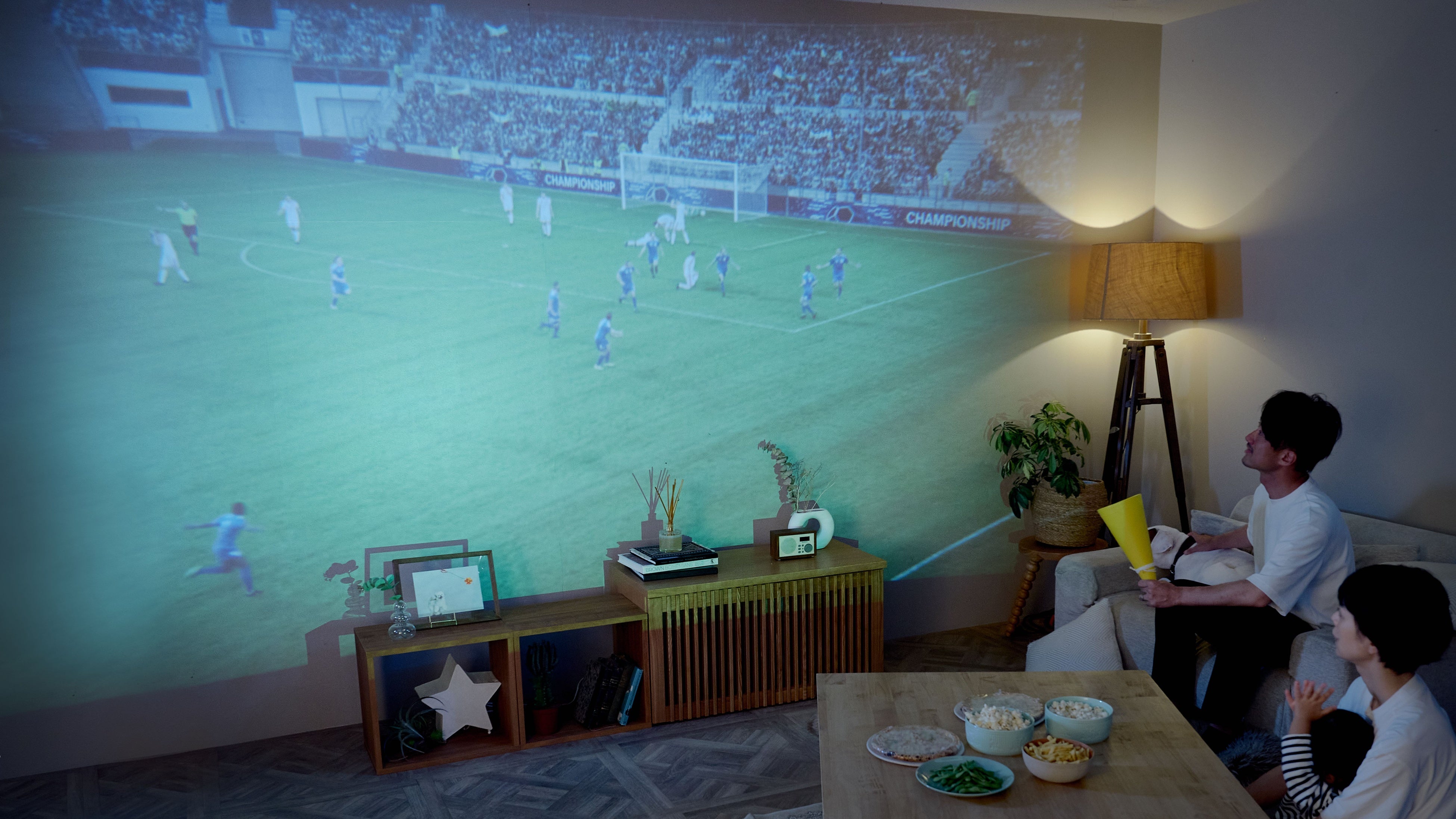 ワイドアングルレンズ装着時投影画像