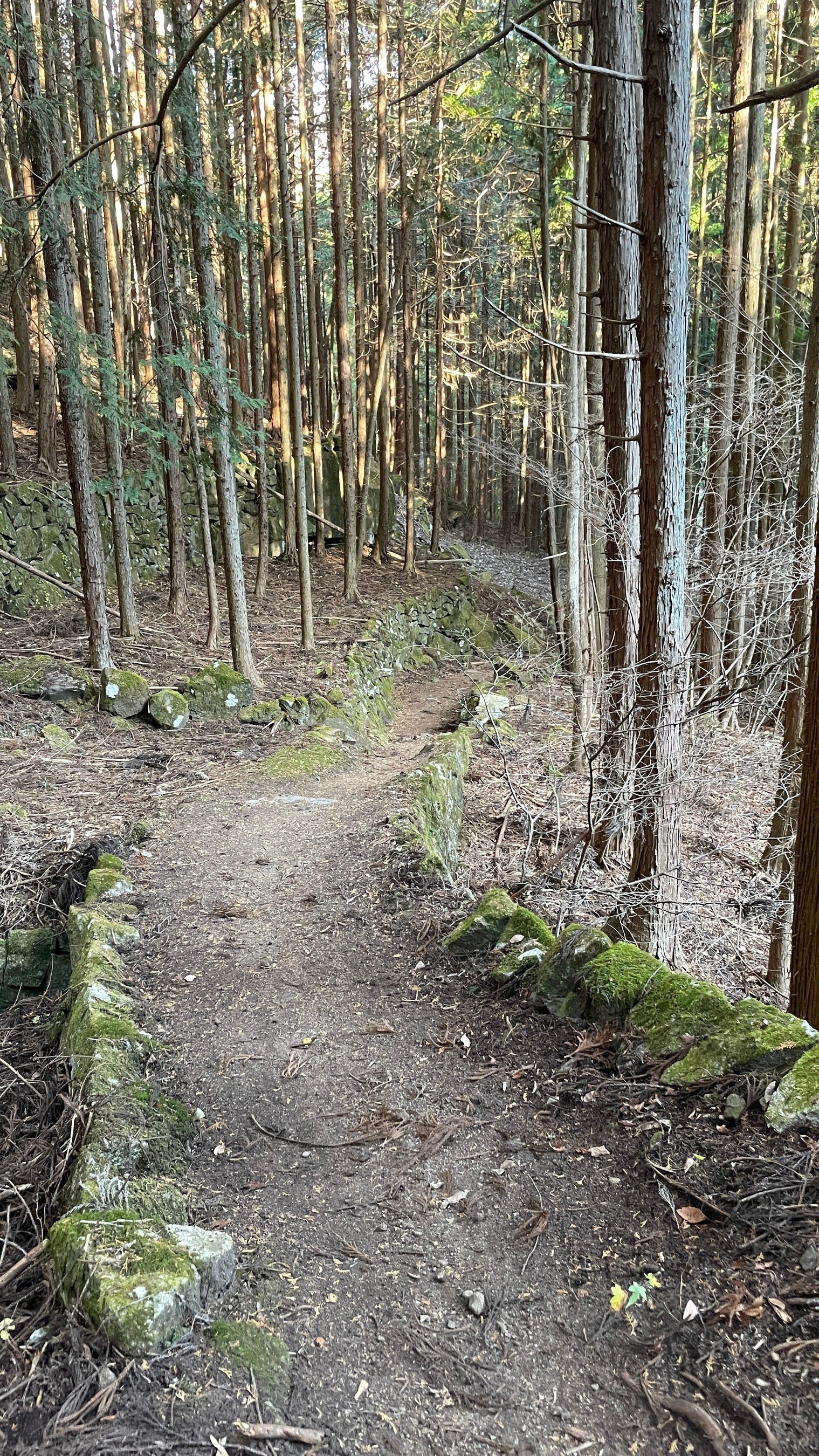 山の中でひっそりと静かに佇む古道