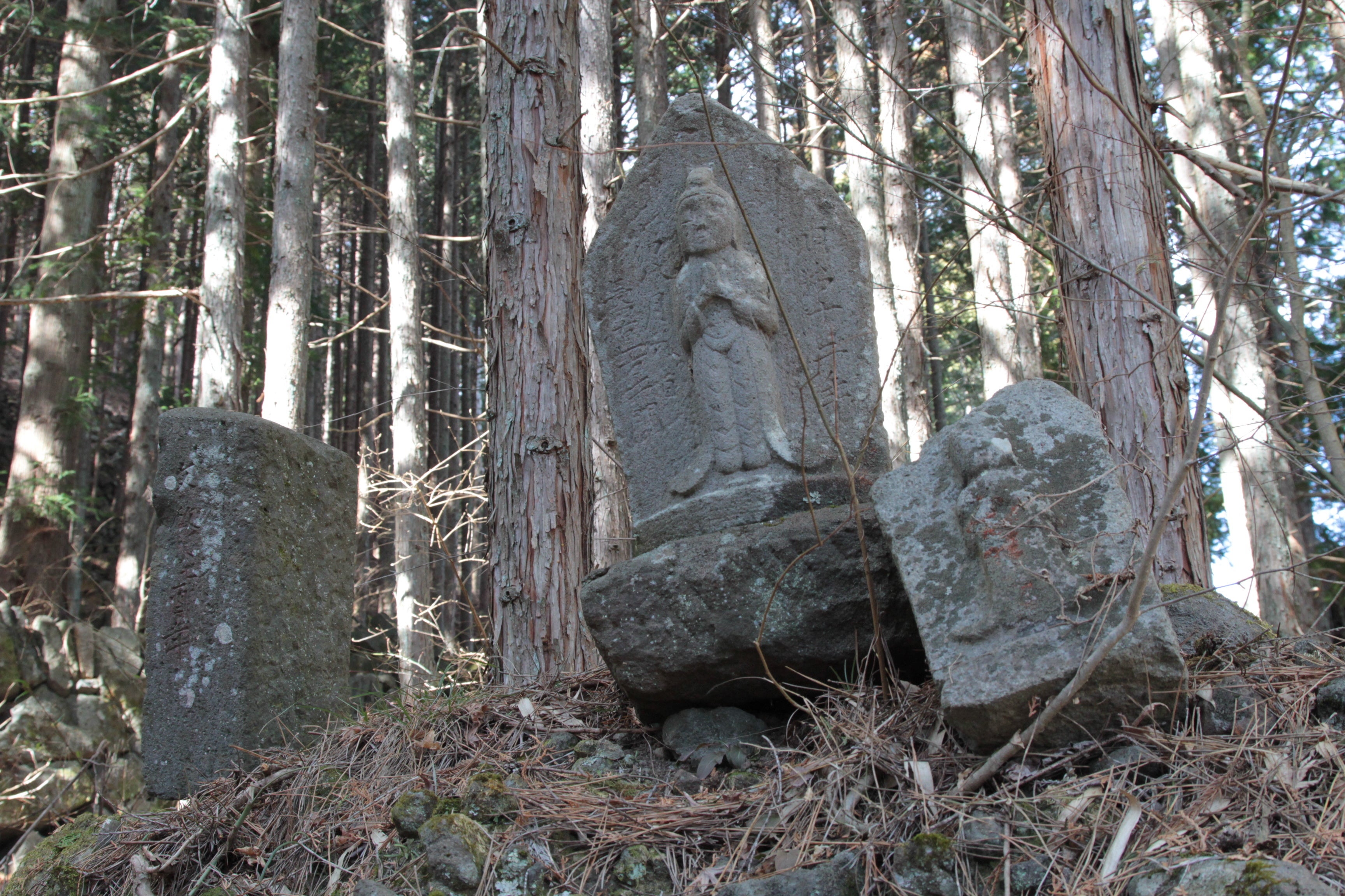 昔から人々の営みを見守ってきた