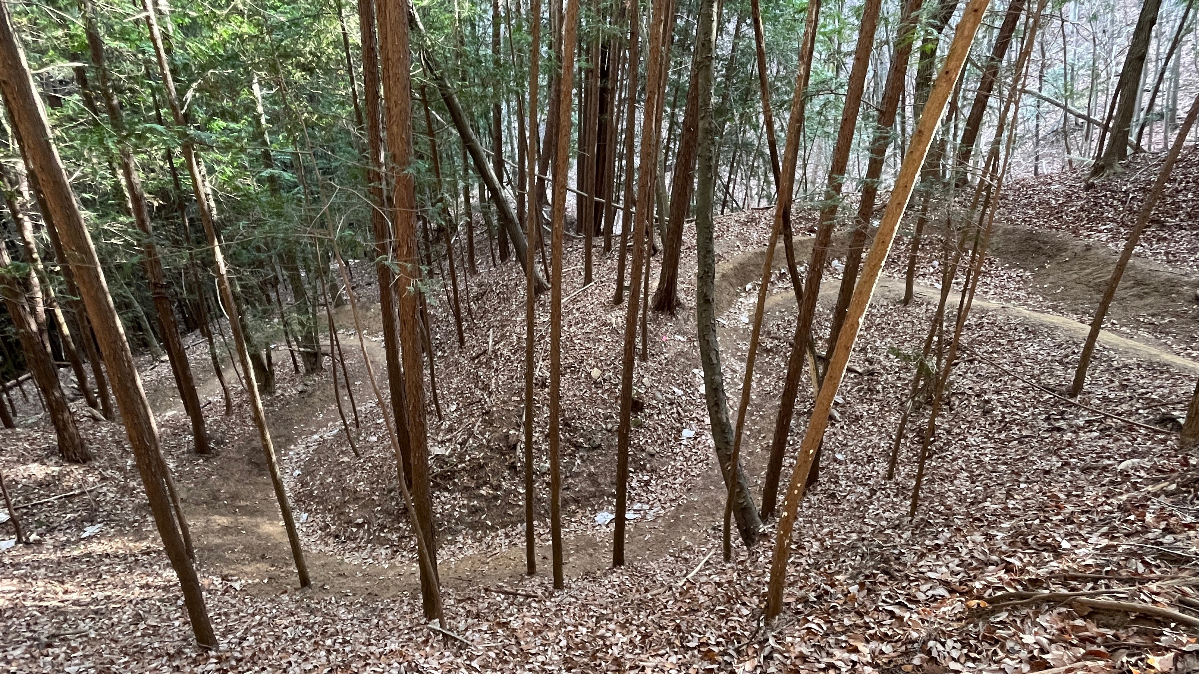 昔この道は馬が麦を運んだ道、その名も麦坂道