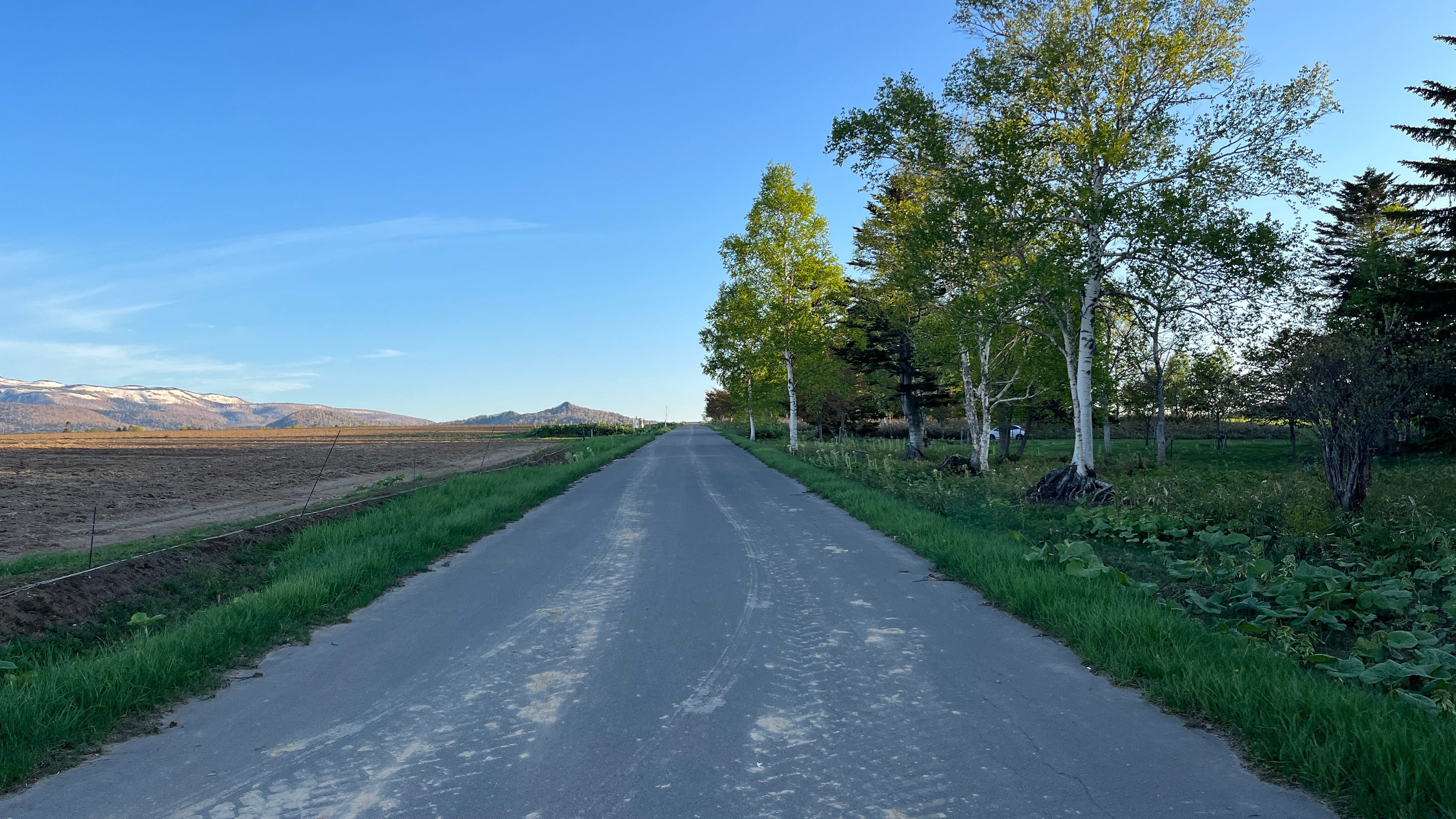元気の森コースへのアプローチ道が美しい。