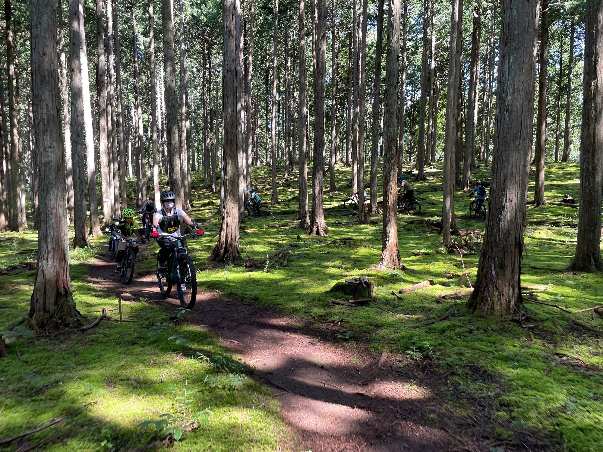森林空間を楽しむマウンテンバイカー